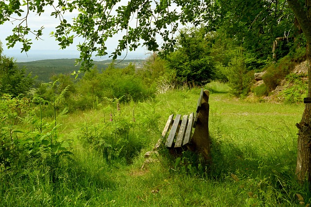 定期组织的 定期组织的
