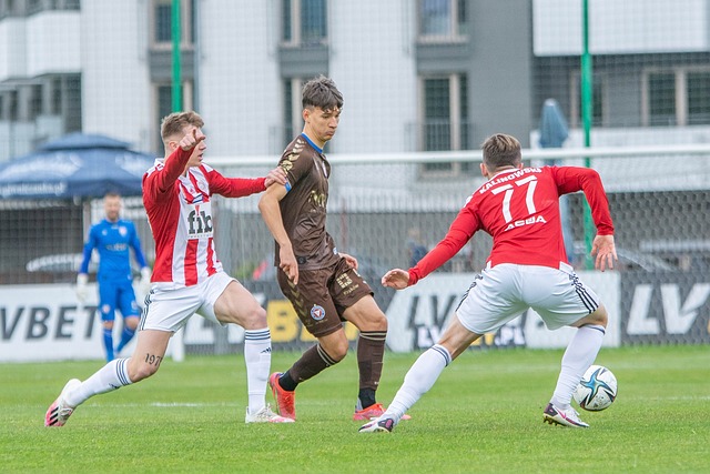 从向导到探 从向导到探