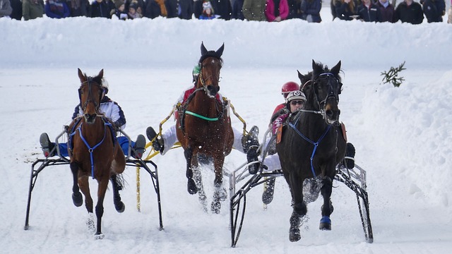 比赛进行到 比赛进行到