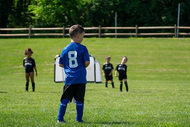 的崛起便是 的崛起便是